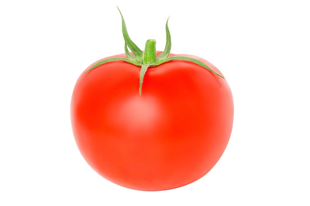 Escorço direto do tomate fresco suculento isolado