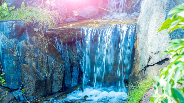 Escorrega alpina com mini cascata. Paisagem do parque Sity com plantas verdes variadas e samambaias. Cenário botânico atmosférico em dia ensolarado de verão.