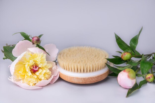 Escova de massagem seca com flores de cerdas naturais peônia cosméticos ecolódicos cuidados domésticos e spa