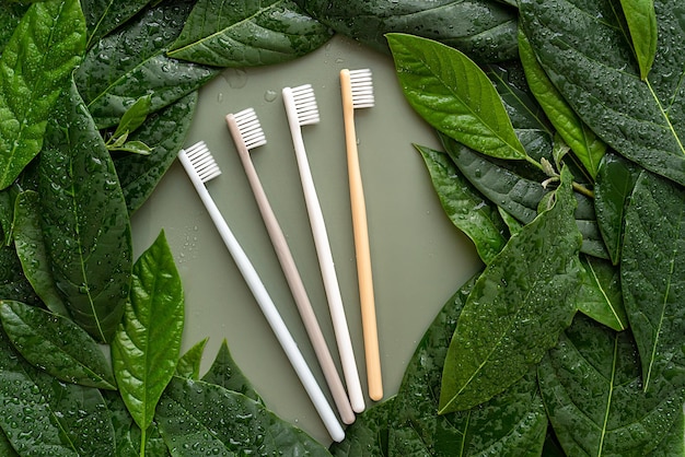 escovas de dentes de plástico cercadas por folhas verdes vista superior plana lay