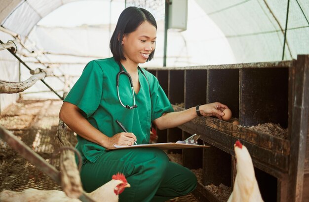 Escrita de galinha e documentos com uma veterinária asiática verificando ovos em um golpe em uma fazenda para sustentabilidade Alimentos médicos e lista de verificação com uma veterinária trabalhando em um galinheiro para cuidados