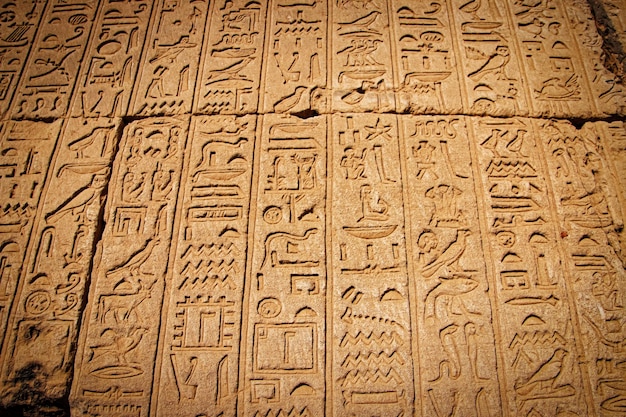 Escrita egípcia antiga, hieróglifos egípcios, inscrições nas paredes