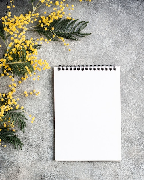 Escritorio gris con ramo de flores de mimosa amarilla y cuaderno limpio, flatlay