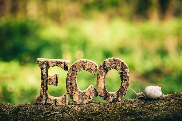 Escritura de ECO hecha de letras de madera y un caracol.