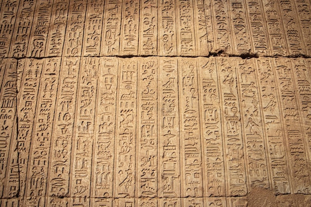 Escritura egipcia antigua, jeroglíficos egipcios, inscripciones murales