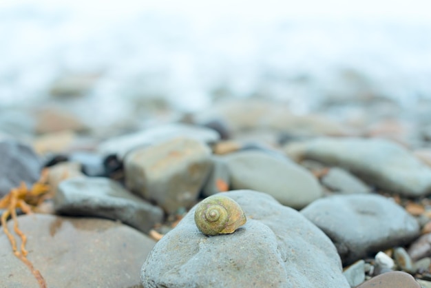 Escudo do mar em pedra cinza na beira-mar contra o mar Conceito de beleza da natureza