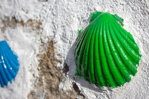 Escudo pintado de verde na parede branca closeup. Símbolo da peregrinação. Sinal de peregrino no Caminho de Santiago