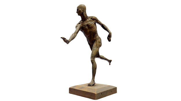 Una escultura de bronce de un hombre con una pierna levantada y un fondo blanco.