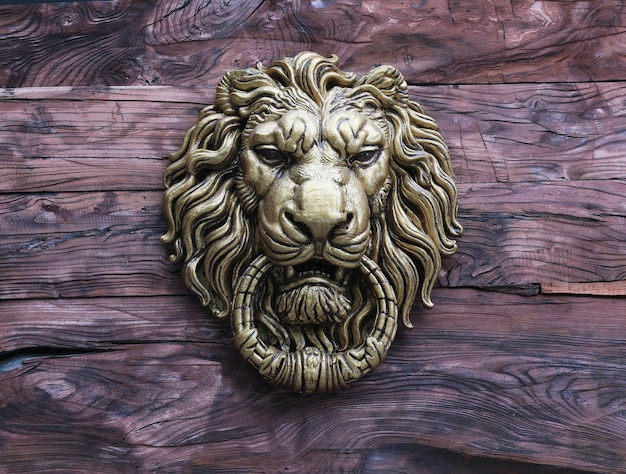 escultura de la cabeza de un león en una pared de madera