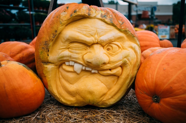 Foto escultura de abóbora laranja