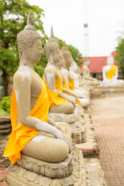 Escultura de buda em fileiras com manto amarelo enrolado em cada uma