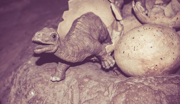 Escultura de dinossauro, modelo animal enorme para aprender