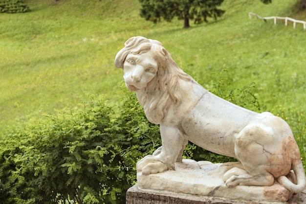 Escultura de mármore do leão no patamar da grande escadaria italiana do Parque Pavlovsk