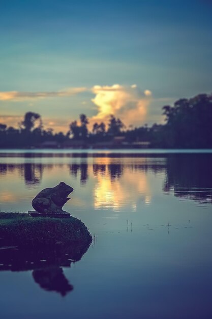 Escultura de sapo na margem de um lago em bali