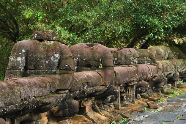 Foto escultura em ta prohm