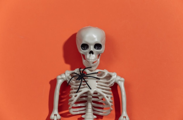 Escultura de esqueleto con araña sobre fondo naranja brillante. Tema de Halloween.