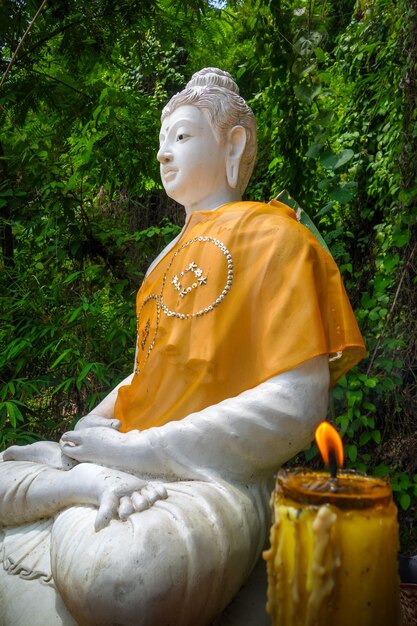 Escultura de la estatua de Buda contra los árboles