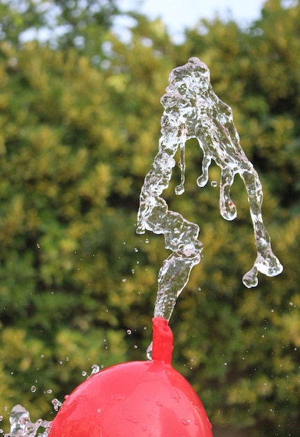 Escultura de globo de agua