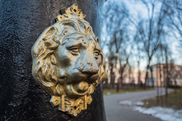 Foto escultura de león en el parque de la ciudad