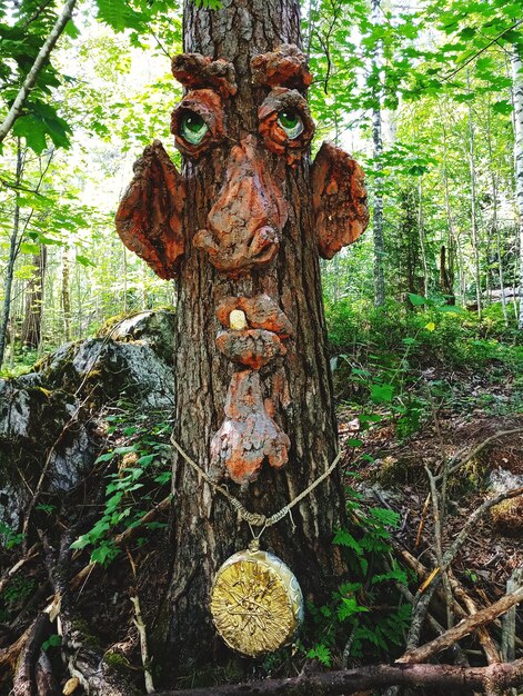 Foto escultura no tronco de uma árvore na floresta