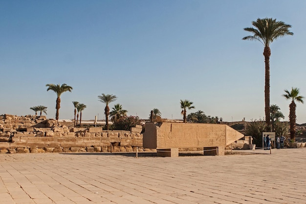 Esculturas colossais do templo de Karnak do antigo Egito no vale do Nilo em Luxor