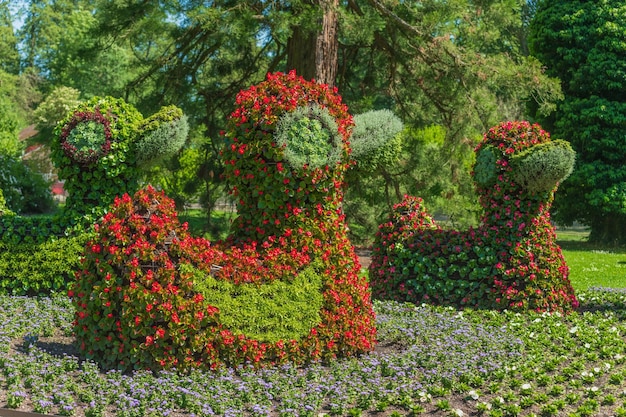 Foto esculturas de flores na ilha de flores do lago constança