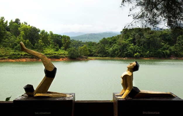 Foto esculturas de personas haciendo yoga en el lago en el ashram de sivananda en kerala, india