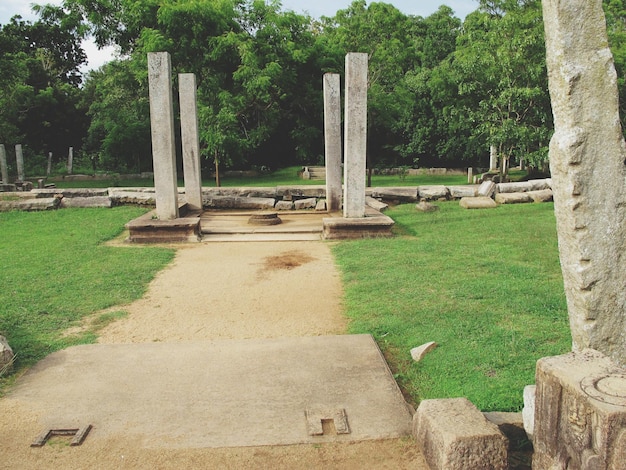 Esculturas de piedra en el parque