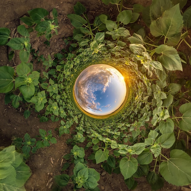Foto esfera de agujero azul pequeño planeta dentro de arena o hierba seca fondo de marco redondo
