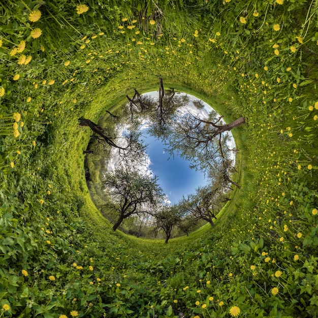 Foto esfera azul pequeno planeta dentro do fundo redondo da grama verde com dentes-de-leão