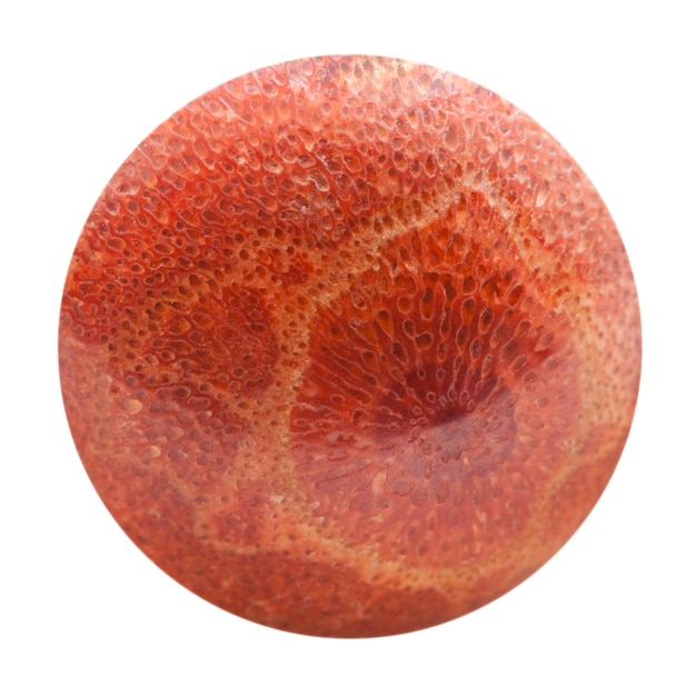 Esfera de coral rojo prensado aislado