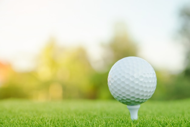 Esfera de golfe com o t branco na grama verde pronto para jogar no campo de golfe.