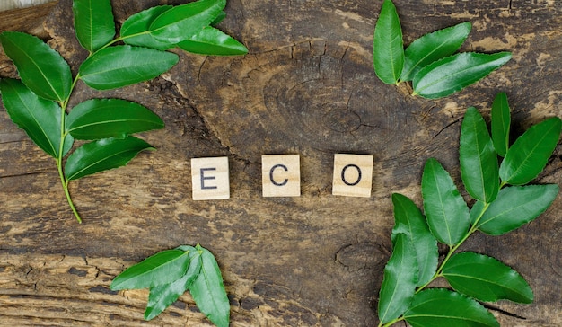 ESG-Abkürzung auf Holzwürfeln vor dem Hintergrund grüner Blätter Das Konzept des Umweltschutzes Environmental Social Governance