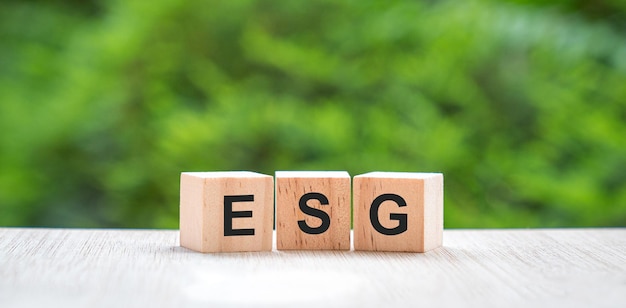 ESG-Buchstaben auf Holzblockwürfel mit grünem Naturhintergrund