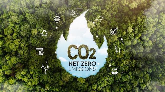 ESG-Konzept Sicht auf grüne Waldbäume ESG-Umwelt-Sozial-Governance Investitionsgeschäft