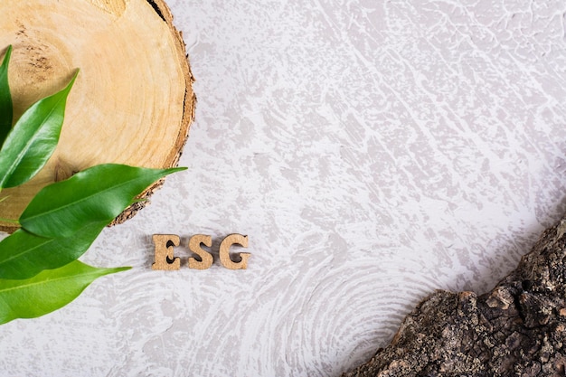 ESG política de gestión social ambiental Letras hojas y corteza sobre un fondo gris
