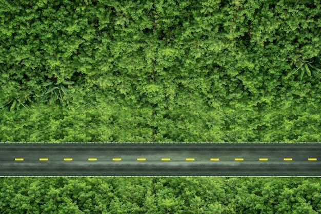 ESG Zero Carbon Emission and Environmental Care Concept Draufsicht auf die Straße in der grünen Jahreszeit Umwelt- und Unternehmenswachstum zusammen Nachhaltige Ressourcen