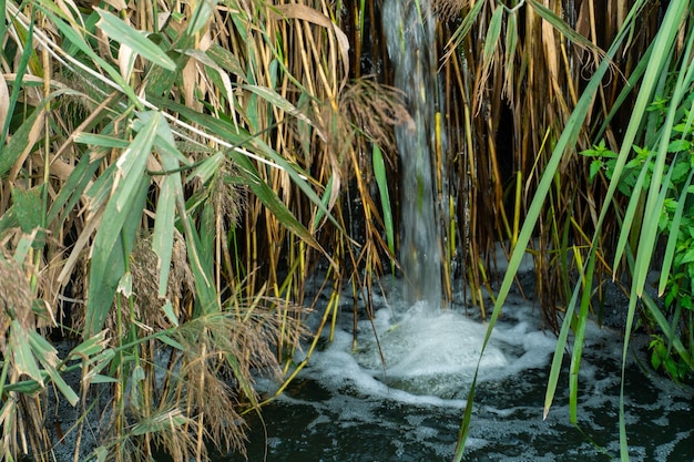 Esgoto flui para o lago do território de uma grande usina Vazamento de água suja do esgoto Poluição ambiental Problema ambiental