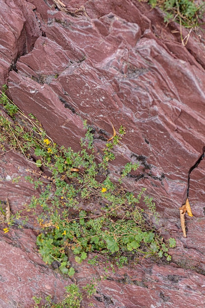 Esmeralda córrego da montanha flui através de um desfiladeiro de pedra vermelha no deserto francês.