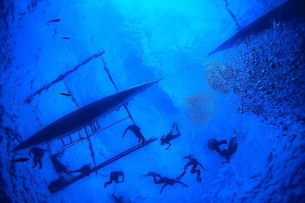 esnórquel tiburón ballena / Filipinas, buceo con tiburones, escena submarina