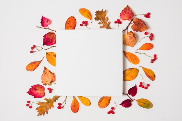 Foto espacio en blanco de la copia con el marco colorido de las hojas de otoño