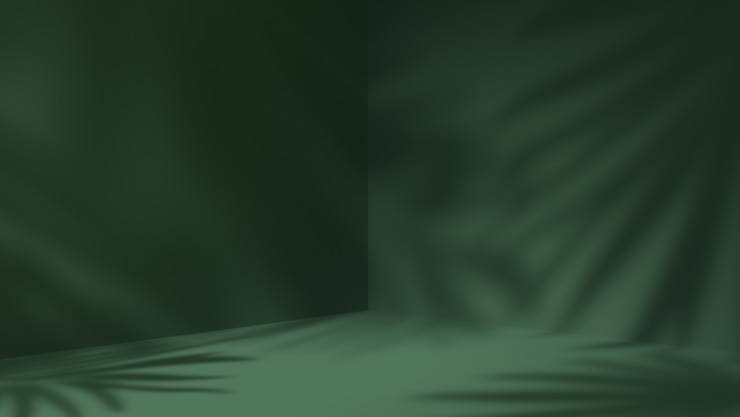 Foto espacio en blanco verde y sombra natural deja el fondo