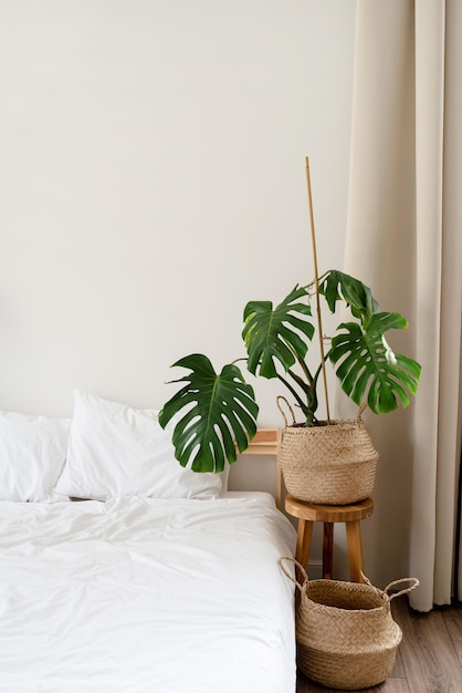 Espacio en casa con cama monstera y cestos de ropa