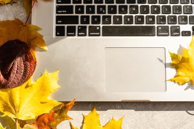 Espacio de trabajo con hojas de arce amarillas y rojas. Escritorio con laptop, hojas caídas sobre fondo de madera gris