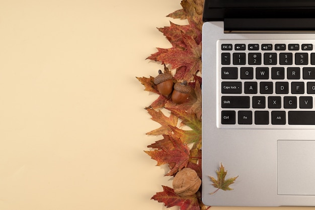 Espacio de trabajo con hojas caídas rojas y amarillas, portátil. Vista superior del acogedor escritorio beige de oficina. Fondo de otoño, endecha plana. enfoque selectivo