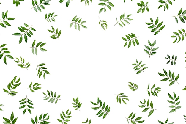 Espacio de trabajo de marco con hojas verdes aisladas sobre fondo blanco vista superior plana