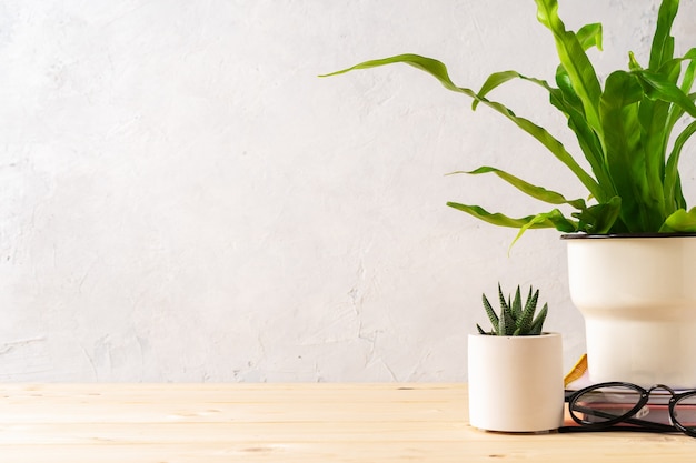 Espacio de trabajo plantas suculentas y suministros con espacio de copia para texto elegante y minimalista oficina en casa