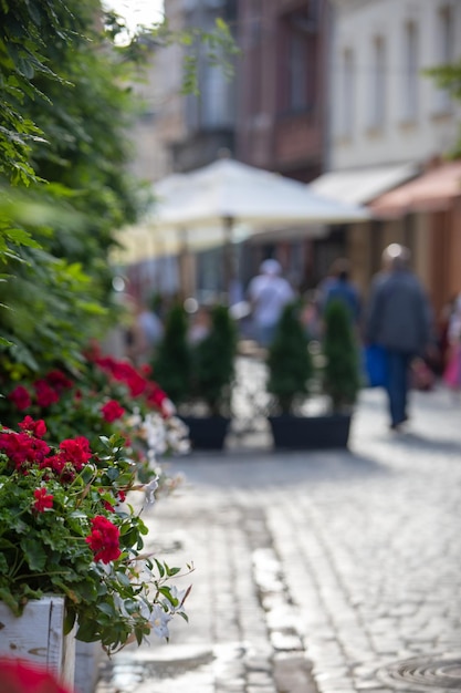 Espaço de cópia de decoração de rua de flores cor de rosa florescendo