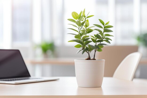 Espaço de trabalho com portátil e café.