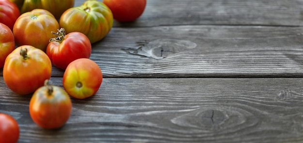 Espaço livre na mesa e tomates caseiros vermelhos